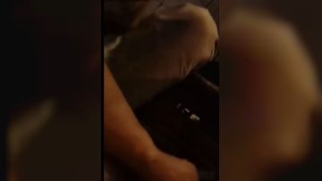 -zipai-白嫩良家型少妇公园勾搭中年大叔到小旅馆啪啪