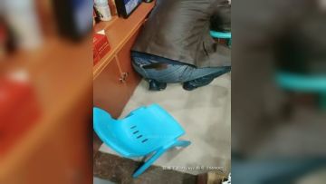 离异少妇勾引路人甲乙丙：你敢不敢啊寻找刺激，这是大街啊，老板我没有带纸，想麻烦你带点纸进来，刺激刺激！